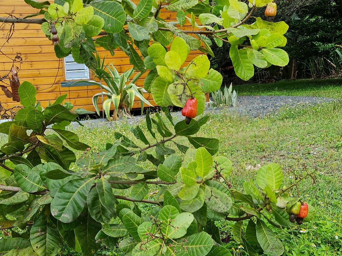 La Kaz Nature Bien-Etre Petit-Bourg Kültér fotó